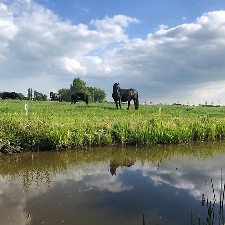Vakantiehuis In Friesland Voor De Hele Familie Huns Esterno foto