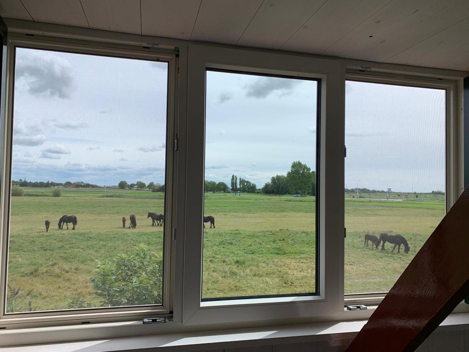 Vakantiehuis In Friesland Voor De Hele Familie Huns Esterno foto