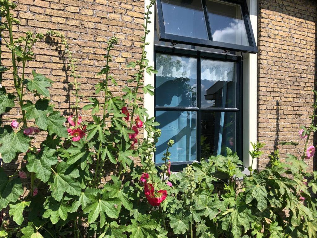 Vakantiehuis In Friesland Voor De Hele Familie Huns Esterno foto