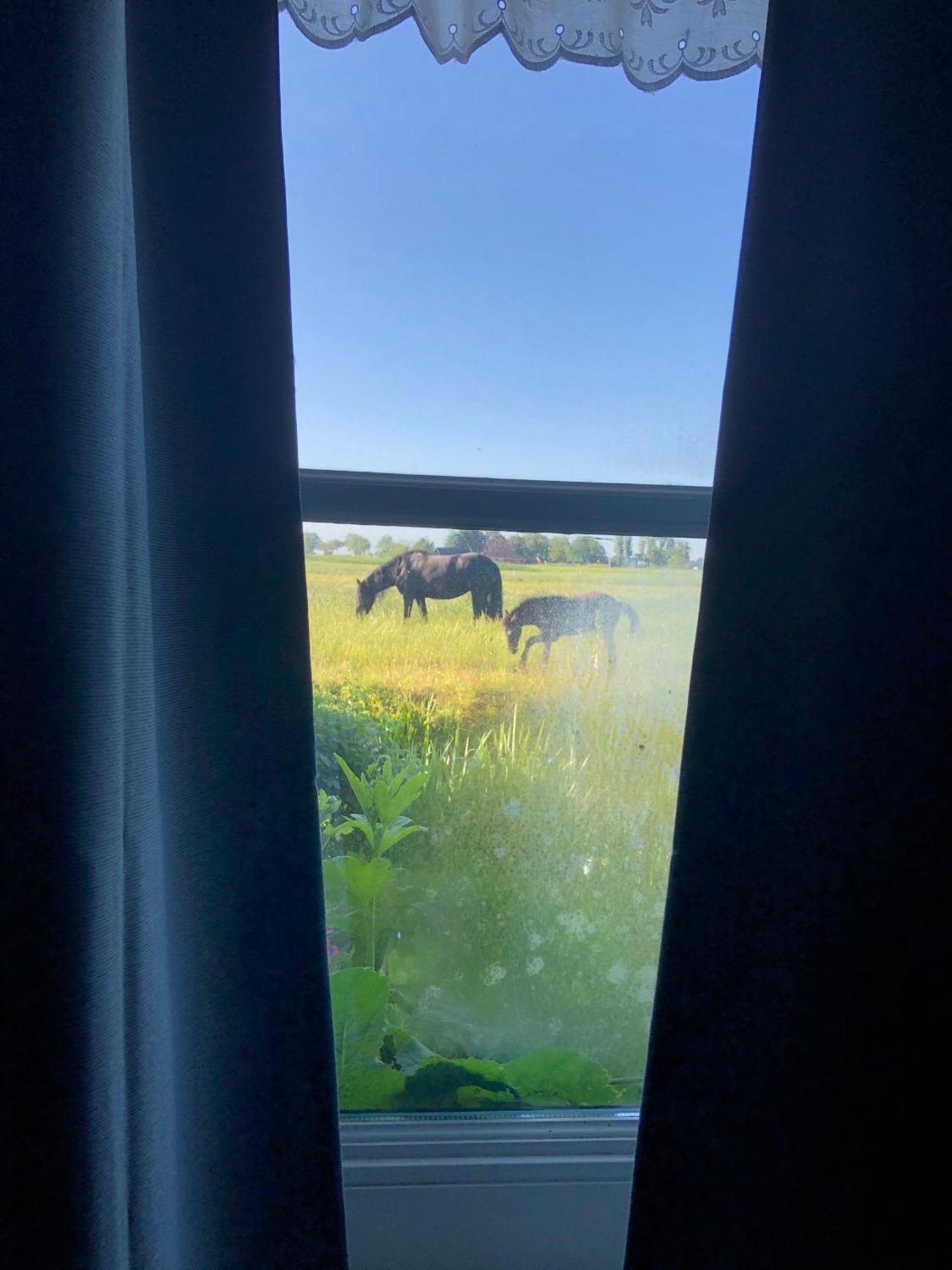 Vakantiehuis In Friesland Voor De Hele Familie Huns Esterno foto